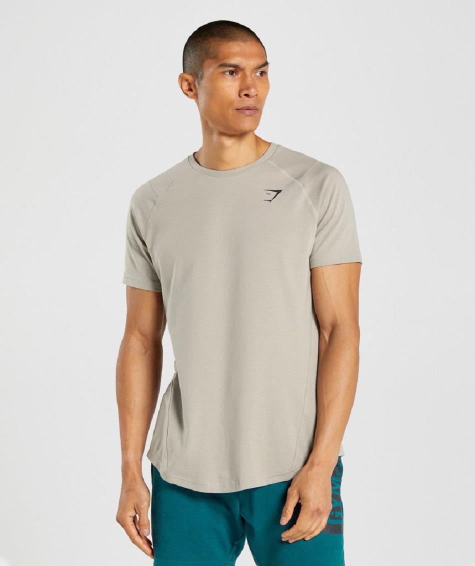 T Shirts Męskie Gymshark Bold Szare | PL 3880LIS